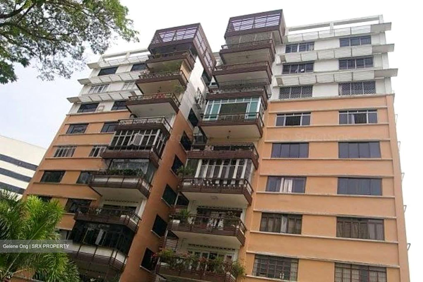 Botanic Gardens Mansion (D10), Apartment #575824511